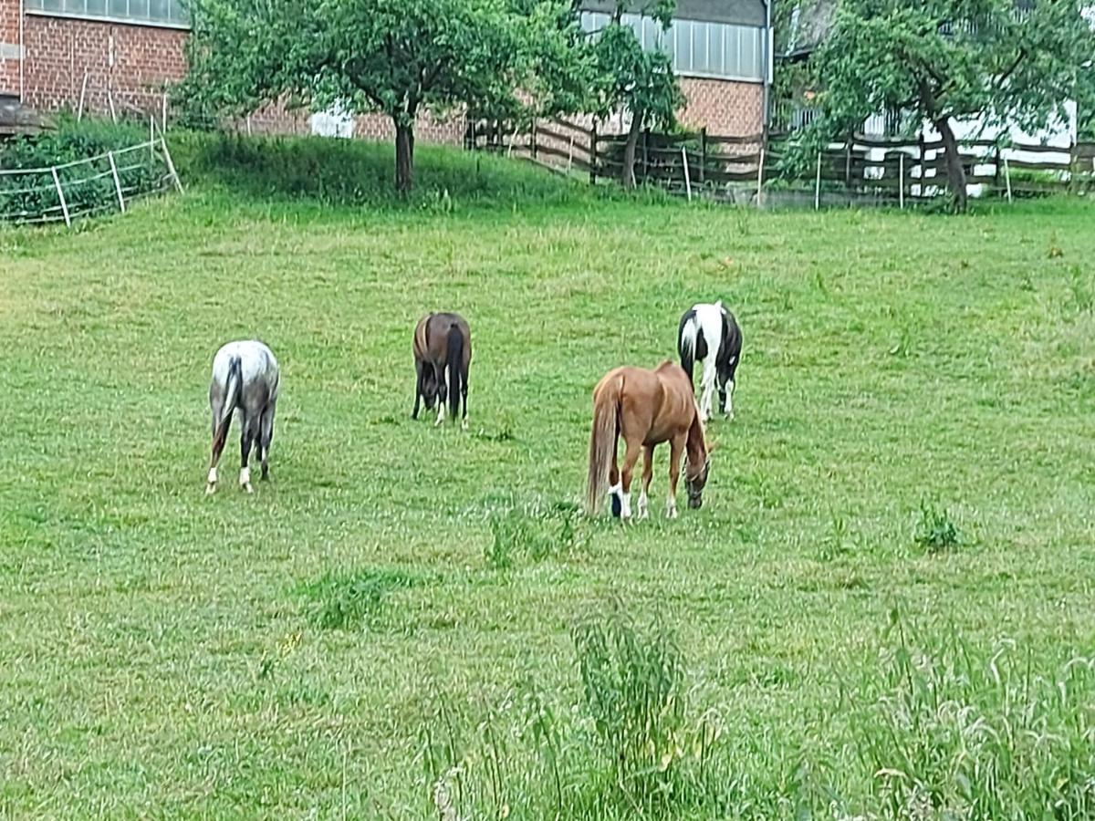 Monteurwohnung In Warstein Exteriör bild