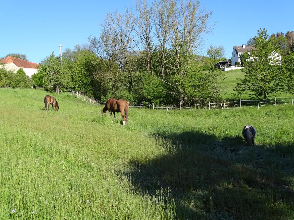 Monteurwohnung In Warstein Exteriör bild